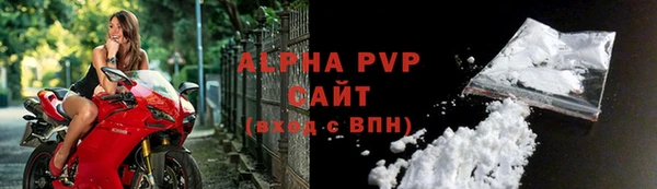 ECSTASY Гусев